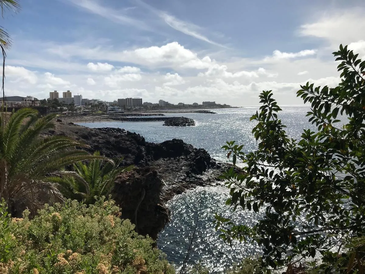 Dream View Apartment Adeje  Costa Adeje (Tenerife)